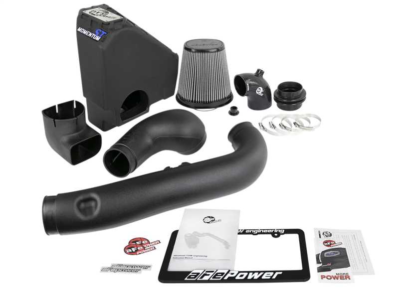 Momentum ST Pro DRY S Air Intake System 51-46216